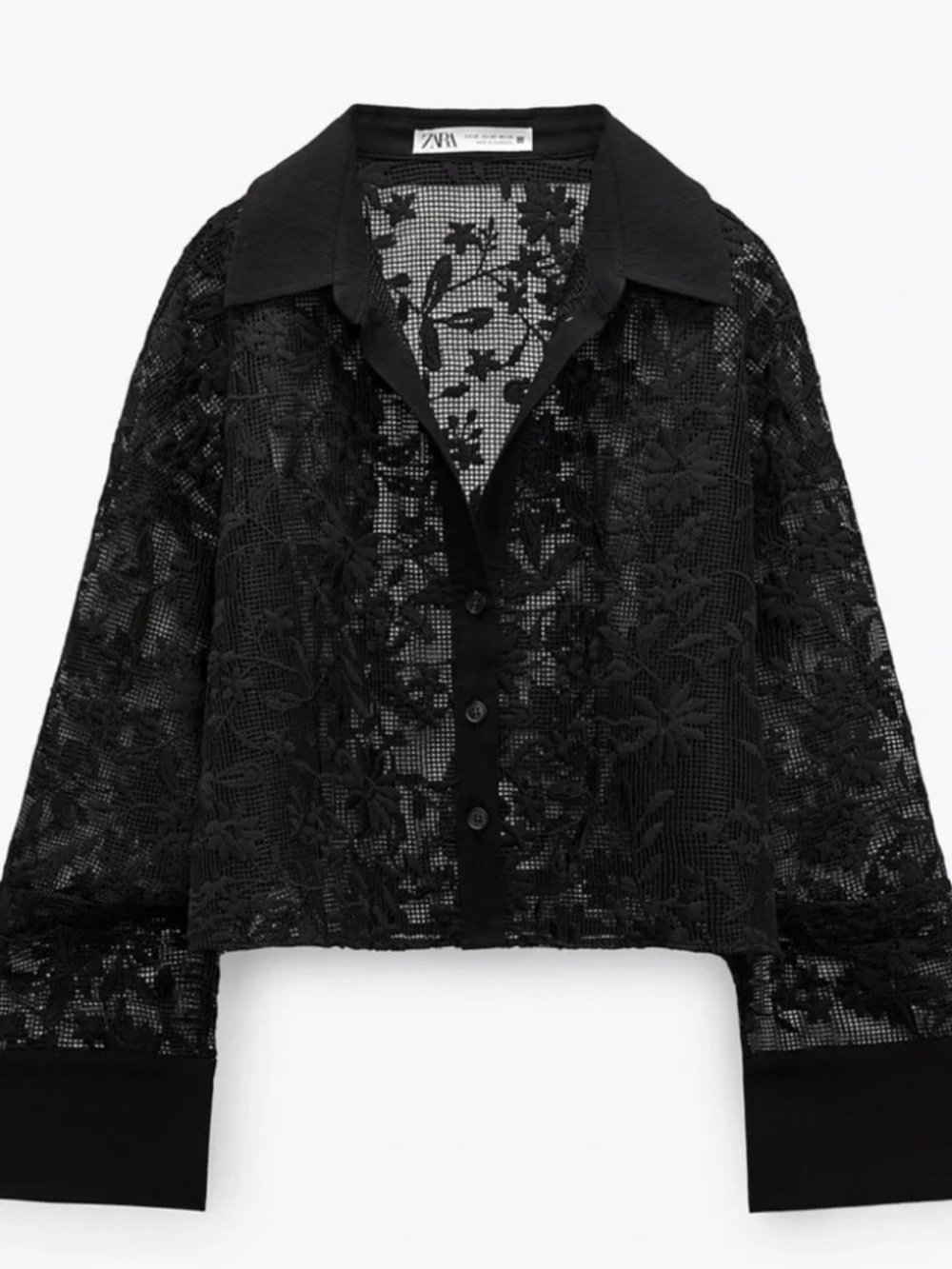 Zara Semi-sheer Lace Top